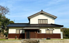 酒場の宿Seikuro  |  菜の花